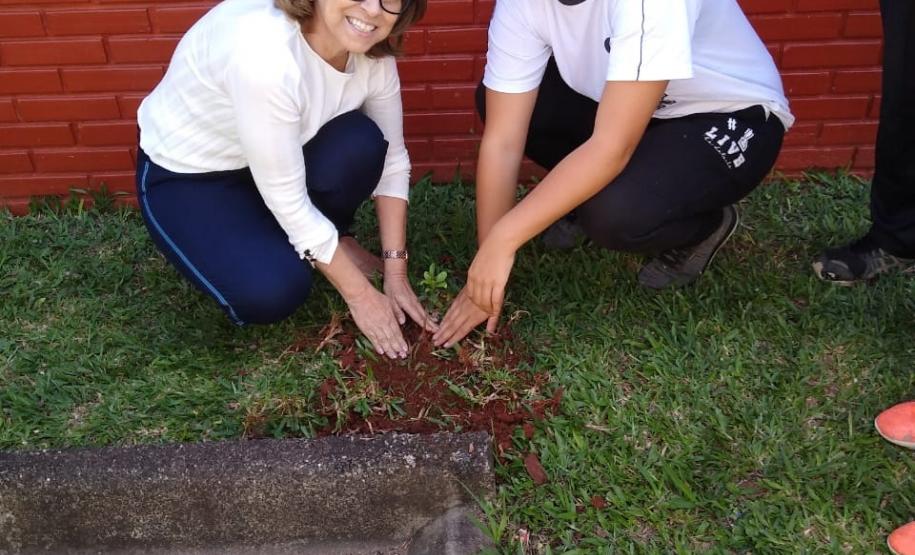 Programa Paraná Mais Verde